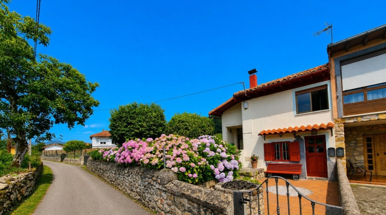Asturias - Antrialgo - 545m2