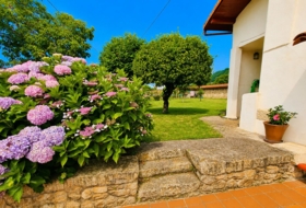Antrialgo 545&nbsp;м²