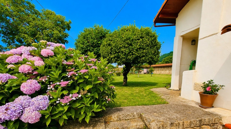 Asturias - Antrialgo - 545m2