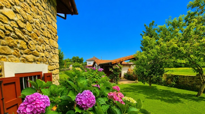 Asturias - Antrialgo - 545m2