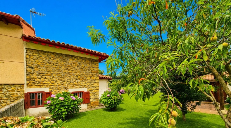 Asturias - Antrialgo - 545m2