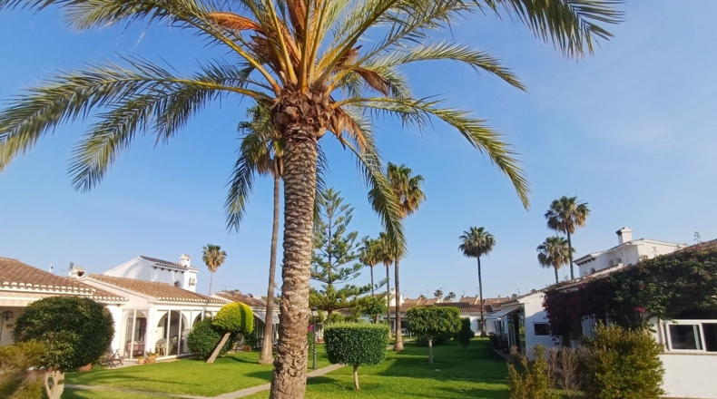 Múrcia - San Javier - 80m2