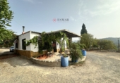 Xalet independent amb terreny en venda a Sot de Ferrer ref.: TR419518 foto