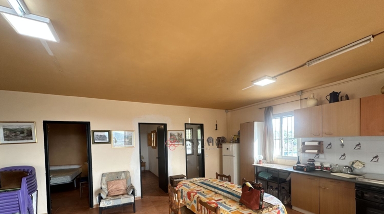 Кастельон - Sot de Ferrer - 10250m2
