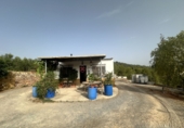 Xalet independent amb terreny en venda a Sot de Ferrer ref.: TR419518 foto