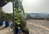 Xalet independent amb terreny en venda a Sot de Ferrer ref.: TR419518 foto