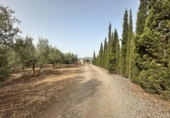 Xalet independent amb terreny en venda a Sot de Ferrer ref.: TR419518 foto