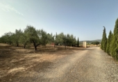 Xalet independent amb terreny en venda a Sot de Ferrer ref.: TR419518 foto