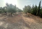 Xalet independent amb terreny en venda a Sot de Ferrer ref.: TR419518 foto