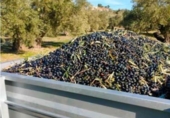 Земля на продажу у города Хаэн. Фото