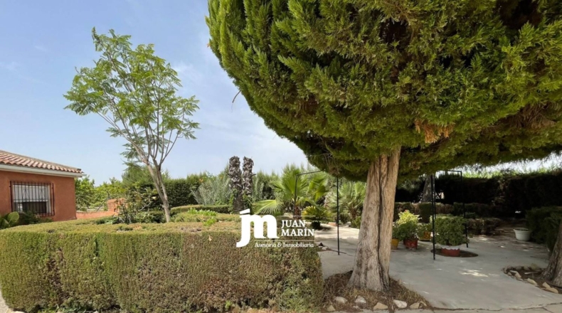 Múrcia - Cieza - 200m2