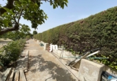 Casa de campo con terreno en venta en Cieza ref: TR419524 foto