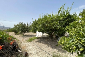 Cieza 200&nbsp;m²