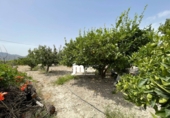 Casa de campo con terreno en venta en Cieza ref: TR419524 foto