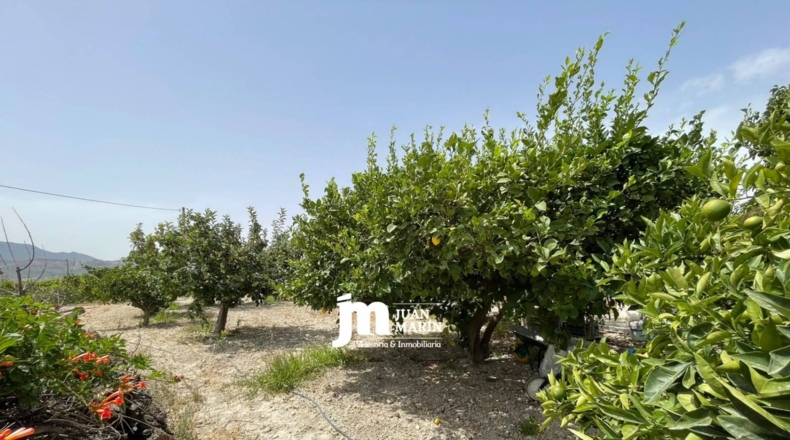 Múrcia - Cieza - 200m2
