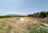Casa de campo con terreno en venta en Cieza ref: TR419524 foto