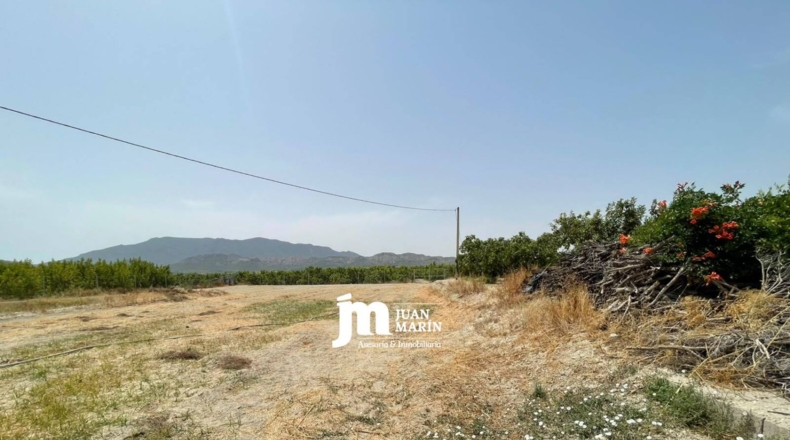 Múrcia - Cieza - 200m2