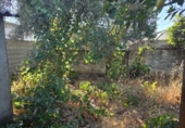 Casa de pueblo en venta en Granja de Torrehermosa ref: TR419538 foto