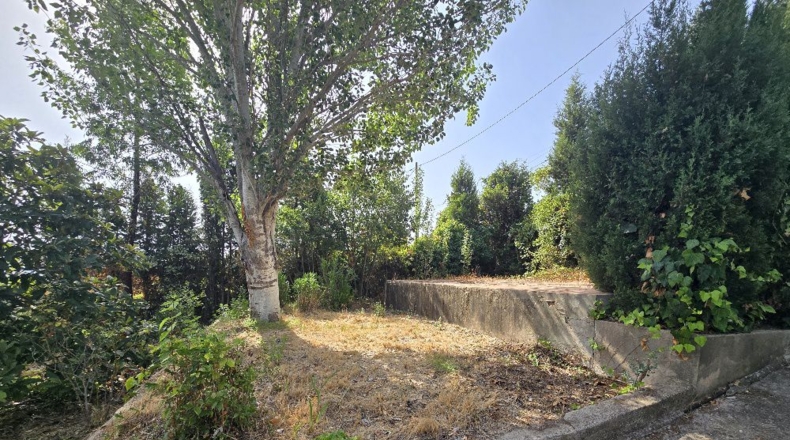 Барселона - Pierola - 223m2