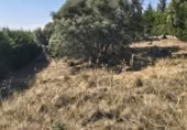 Urban land for sale on Paseo de los Olmos, Zarzuela del Monte, ref: TR419548 photo
