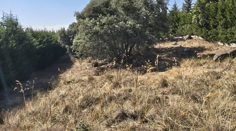 Segovia - Zarzuela del Monte - 1173m2