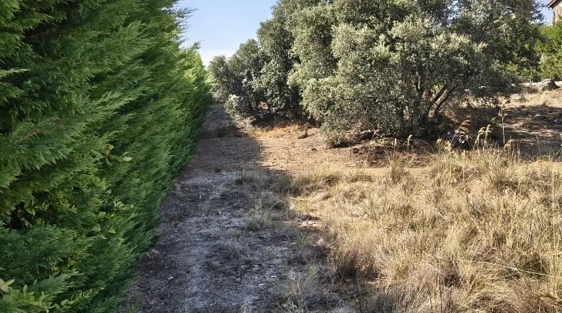 Segovia - Zarzuela del Monte - 1173m2