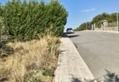 Urban land for sale on Paseo de los Olmos, Zarzuela del Monte, ref: TR419548 photo