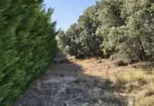 Urban land for sale on Paseo de los Olmos, Zarzuela del Monte, ref: TR419548 photo