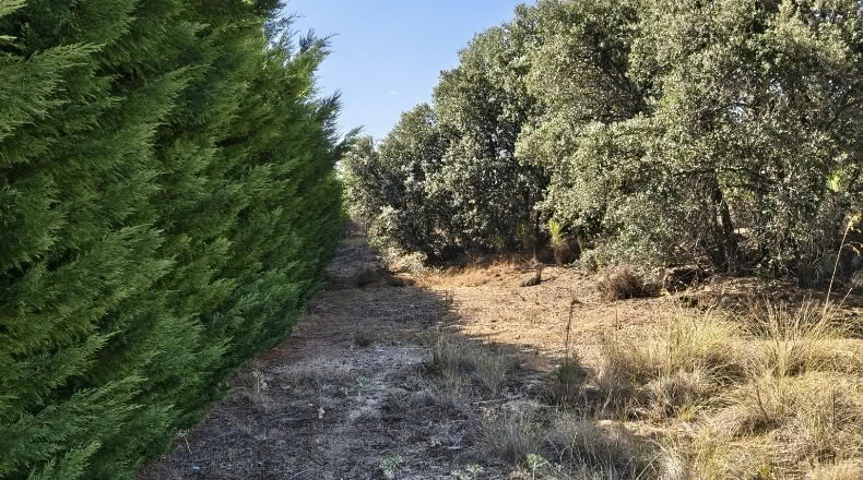 Segovia - Zarzuela del Monte - 1173m2