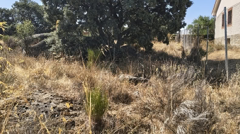 Segovia - Zarzuela del Monte - 1050m2