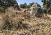 Urban land for sale on Calle de los Fresnos, Zarzuela del Monte, ref: TR419547 photo