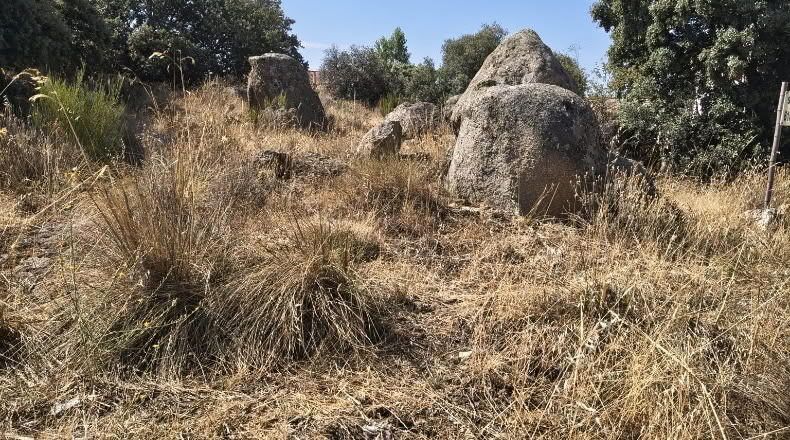 Segovia - Zarzuela del Monte - 1050m2
