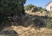 Urban land for sale on Calle de los Fresnos, Zarzuela del Monte, ref: TR419547 photo