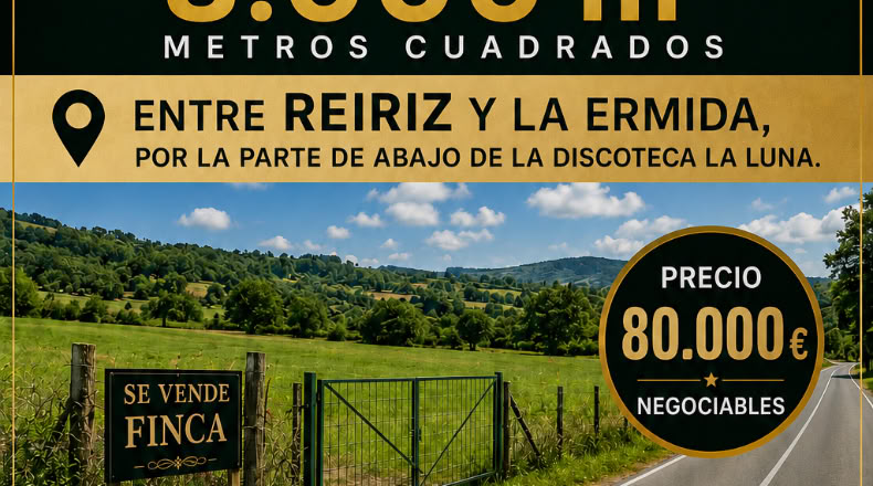 Pontevedra - Pontevedra - 3200m2