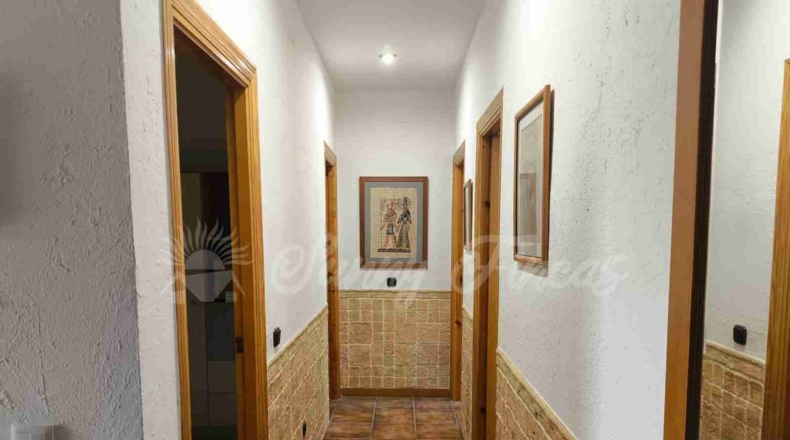 Murcia - Yecla - 5000m2