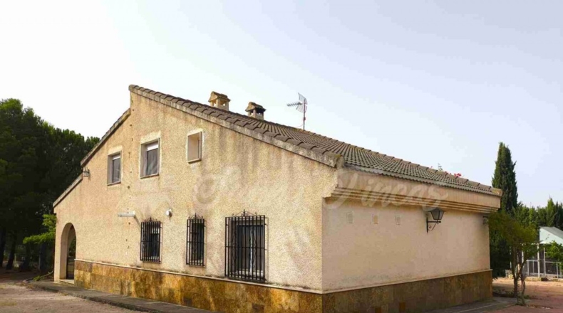 Murcia - Yecla - 5000m2