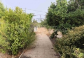 Отдельно стоящий дом с участком на продажу в городе Йекла. Фото
