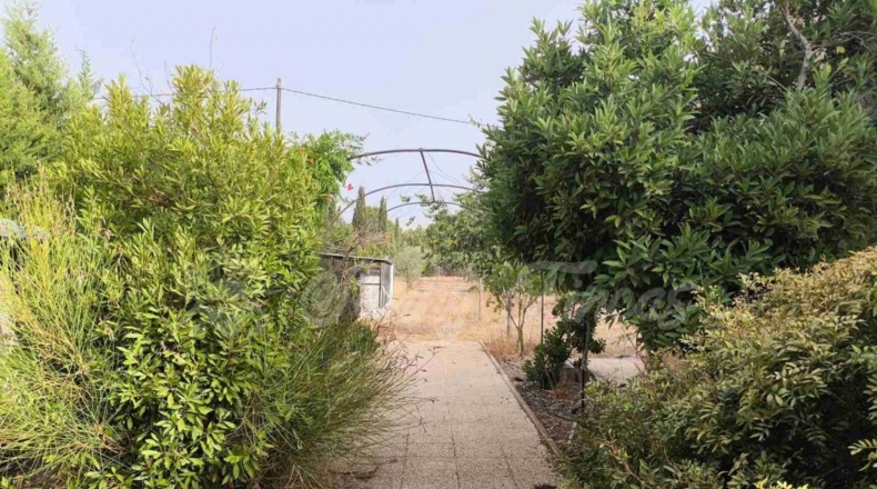Murcia - Yecla - 5000m2