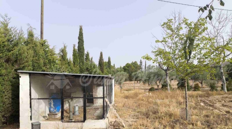 Murcia - Yecla - 5000m2