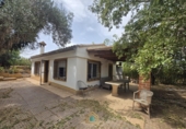 Detached villa with land for sale on Camí Vell de Benifaió, Benifaió, ref: TR419554 photo
