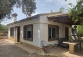 Detached villa with land for sale on Camí Vell de Benifaió, Benifaió, ref: TR419554 photo