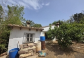 Detached villa with land for sale on Camí Vell de Benifaió, Benifaió, ref: TR419554 photo