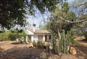Benifaió 60&nbsp;m²