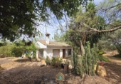 Detached villa with land for sale on Camí Vell de Benifaió, Benifaió, ref: TR419554 photo