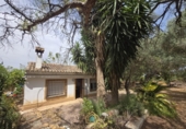 Detached villa with land for sale on Camí Vell de Benifaió, Benifaió, ref: TR419554 photo