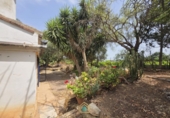 Detached villa with land for sale on Camí Vell de Benifaió, Benifaió, ref: TR419554 photo