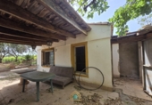 Detached villa with land for sale on Camí Vell de Benifaió, Benifaió, ref: TR419554 photo
