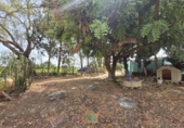 Detached villa with land for sale on Camí Vell de Benifaió, Benifaió, ref: TR419554 photo