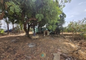 Detached villa with land for sale on Camí Vell de Benifaió, Benifaió, ref: TR419554 photo