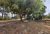 Detached villa with land for sale on Camí Vell de Benifaió, Benifaió, ref: TR419554 photo